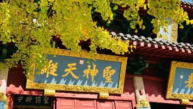 这个周末，到孔庙来淘书吧！