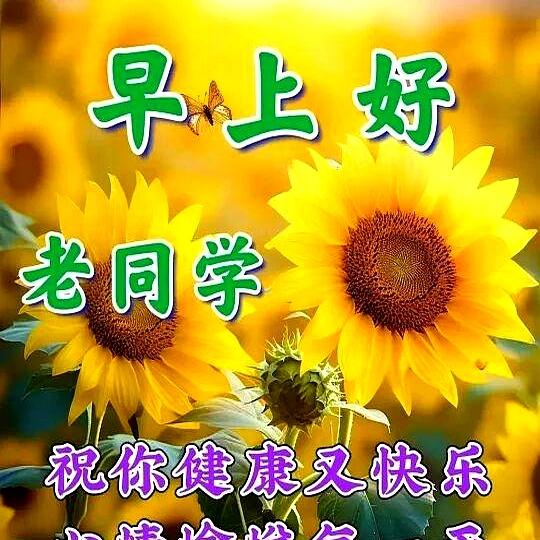 旧时光里的情谊，晨光中的早安 —— 致老同学