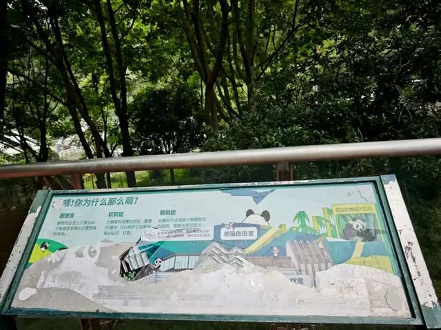 贵阳，文旅界的“寒门贵子”