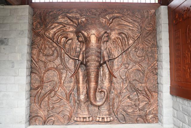 巴山大峡谷秋意浓，今年首趟跨省“环秦岭”赏秋银发旅游专列开行