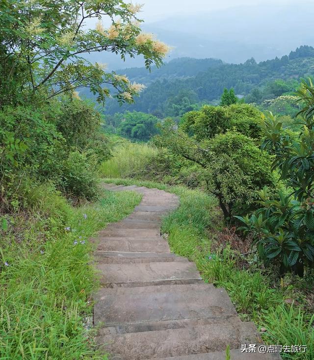 成都龙泉山被冷落的徒步线路，视野超级惊艳，地铁公交车可达！