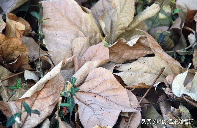 转了一个小圈·及其它