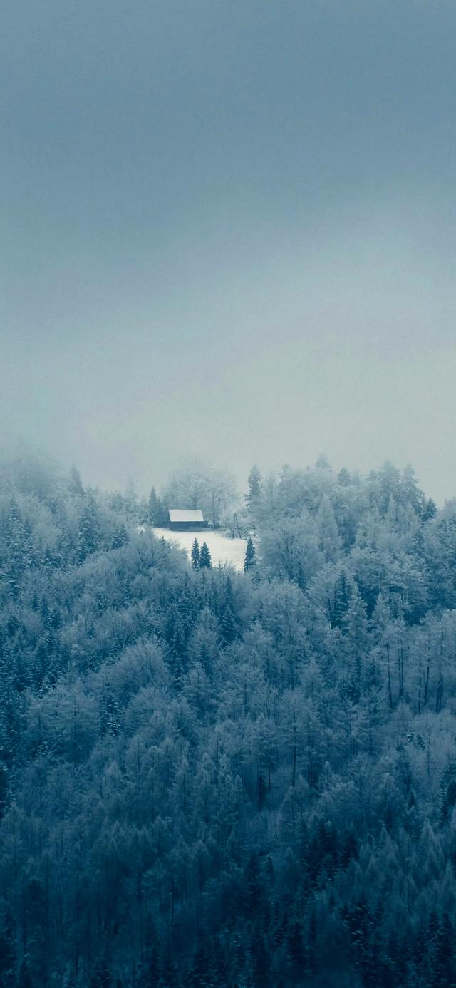 风景壁纸
