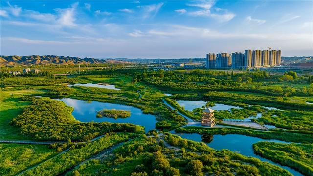 【精品线路】“新”动新区，这份「青春漫游指南」请查收！