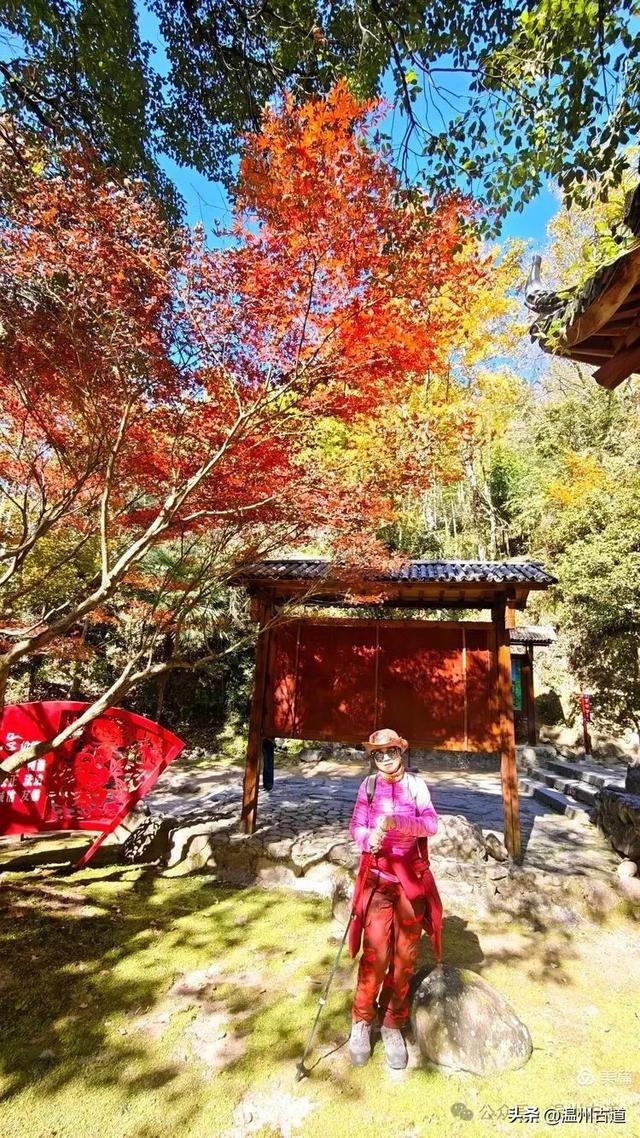 踏秋胜地，天脊龙门！浙江这个4A级景区已美成童话，等你来打卡