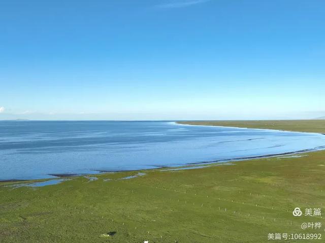 寄情青海湖 图文/叶桦