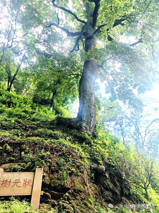 千年风雨中的文明通途——梅关古道