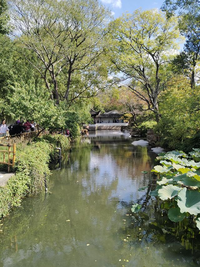 踏入苏州拙政园才懂得什么叫“一园藏尽江南梦”