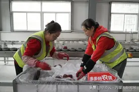 拼多多系统性激发电商就业生态二次繁荣，带动逾5500万人就业图片