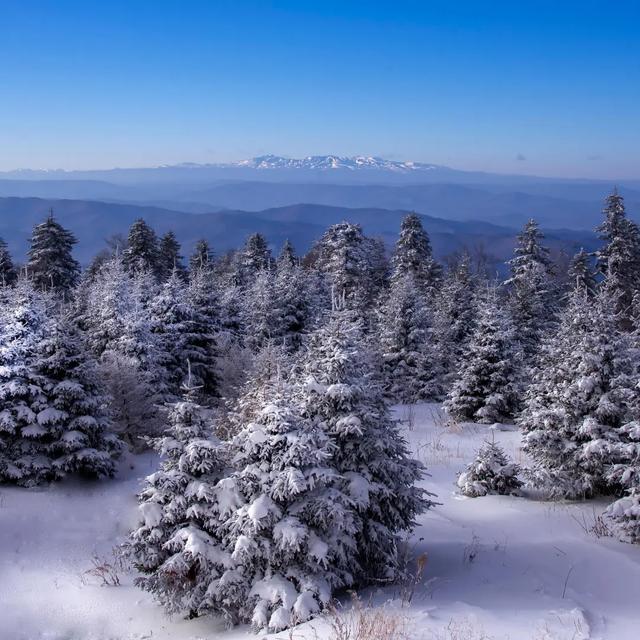 长白山“森”动之旅:三天二晚,探火山,享民俗,品美食