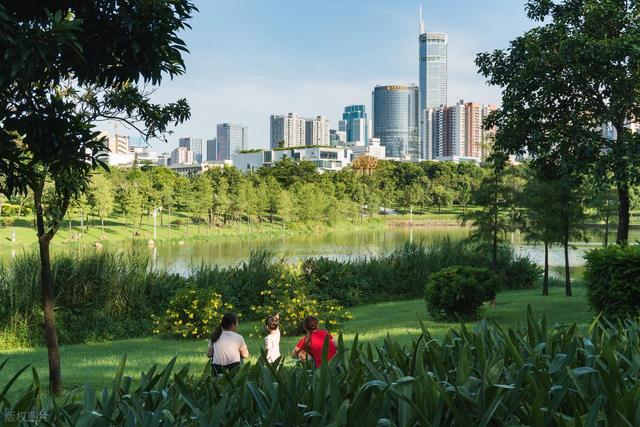 深圳最值得去的6个公园推荐！全部免费，地铁直达，好玩又好拍！