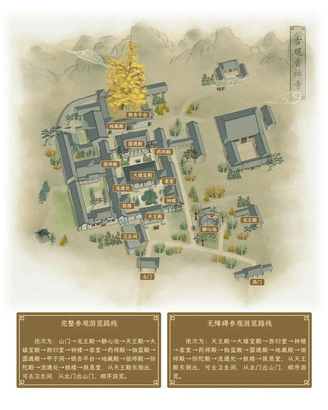 航小天带你看长安 | 霜降至，听风观金叶