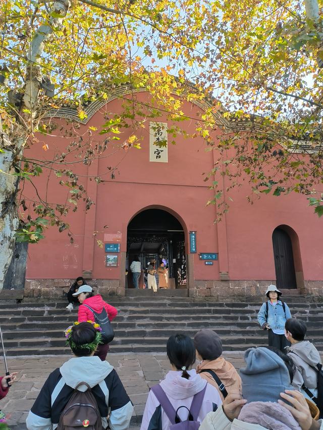 又见凤凰 美兮凤凰