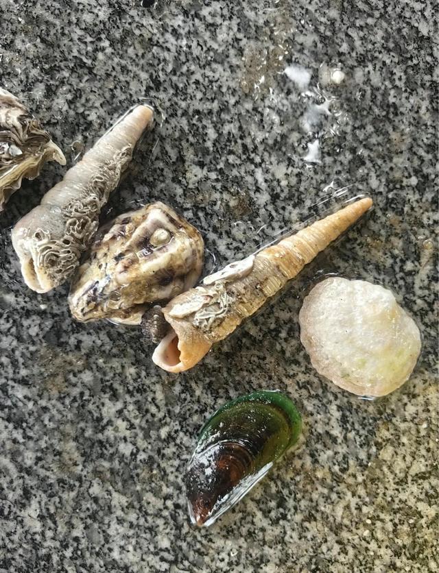 厦门岛内赶海宝藏地点推荐，五缘湾沙滩，黄厝海滨浴场，不可错过