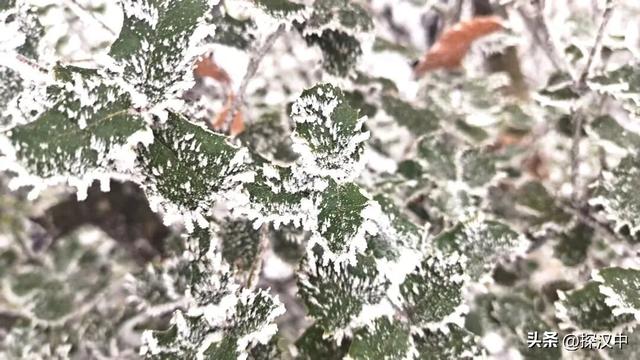 2025年草川子第一场初雪来啦！