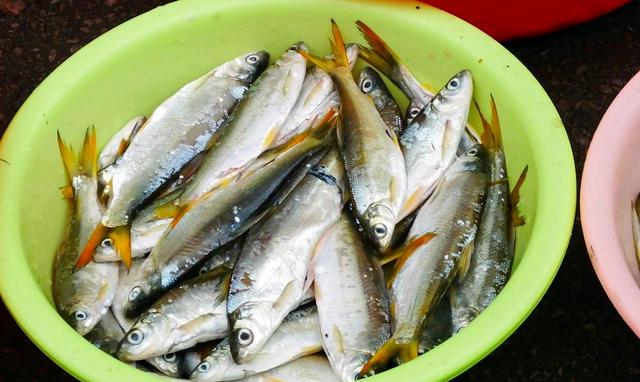 冬天，这4种鱼要少买，都自带“重金属”！鱼贩：我自己都不敢吃