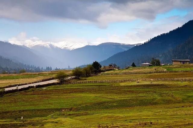 林芝凭什么是“西藏江南”？答案在这里。