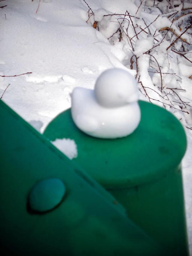 又来？这样的随州，你见没见过？