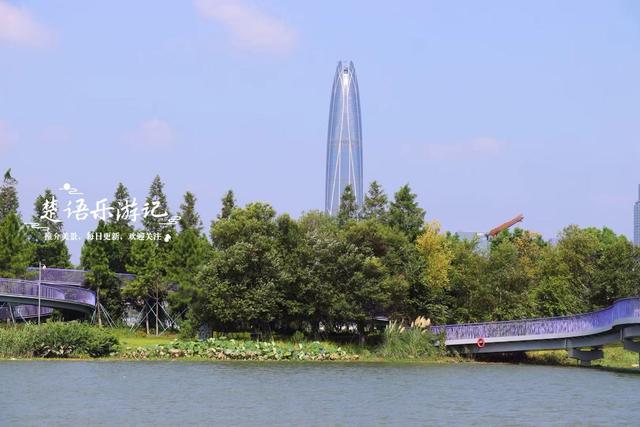 浙江宁波的新公园，马鞭草花不开的时候也很美，烟紫网红桥很出圈