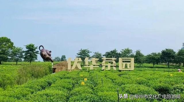 柳州市第八届文化旅游产业发展大会将在柳城县举行