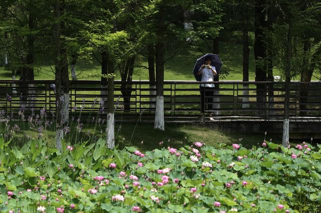 重庆中央公园片区滨水公园+1！包含八大主题景点