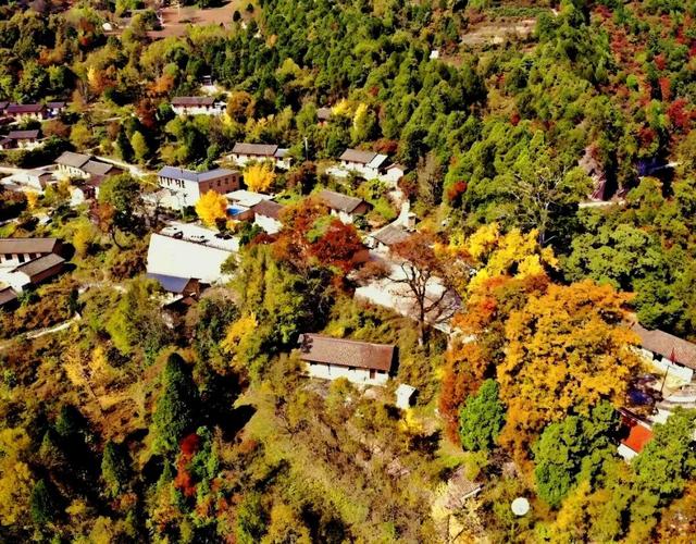 徽县大河店镇：层林尽染处 藏着最治愈的秋日时光