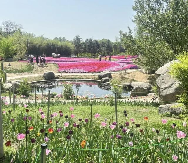 全球独一无二！西安凭什么被称为城中花都