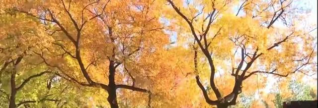 古画里蹦出个春天，文学圈养出个“天堂	”？