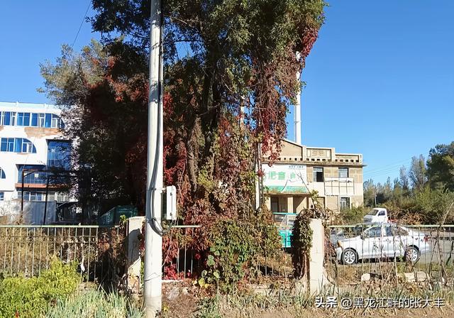 二零二五年十一月十日到吉林省长春市劝农山镇，了解这里历史往事