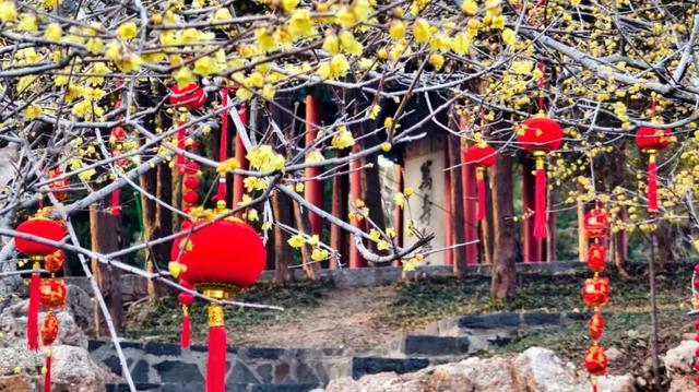 此刻！烟台花花花花花开了