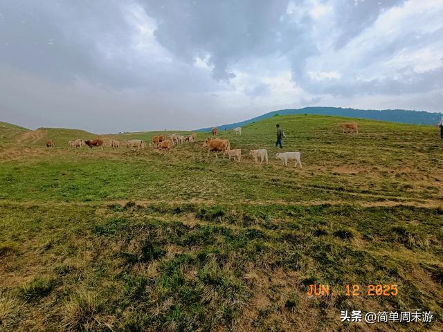 7）山西阳城析城山圣王坪，在云端草甸邂逅狼毒花的美，与千年传