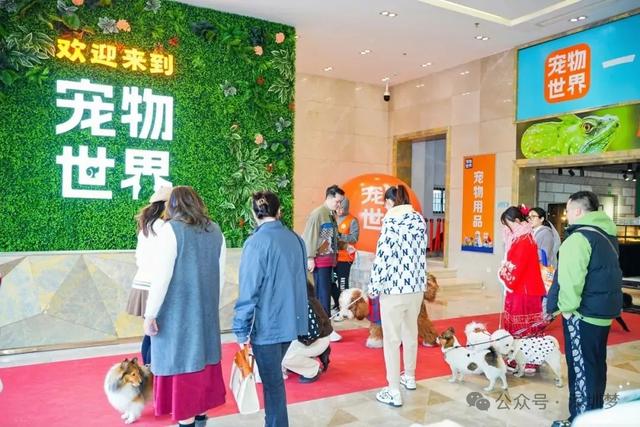 深圳中部宣布！一口气打造4座“城”，发布31个新地标