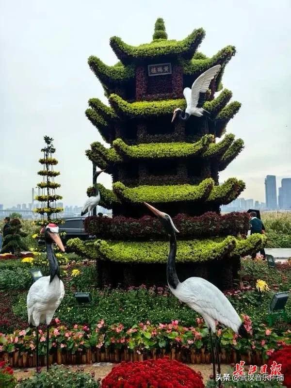 武汉地标纷纷“入景”金秋菊展