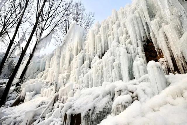 腊八启年味，粥香漫沂蒙！临沂腊八粥暖透八方客
