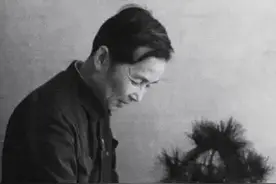 赖少其书法——笔墨顽如铁 金石掷有声图片