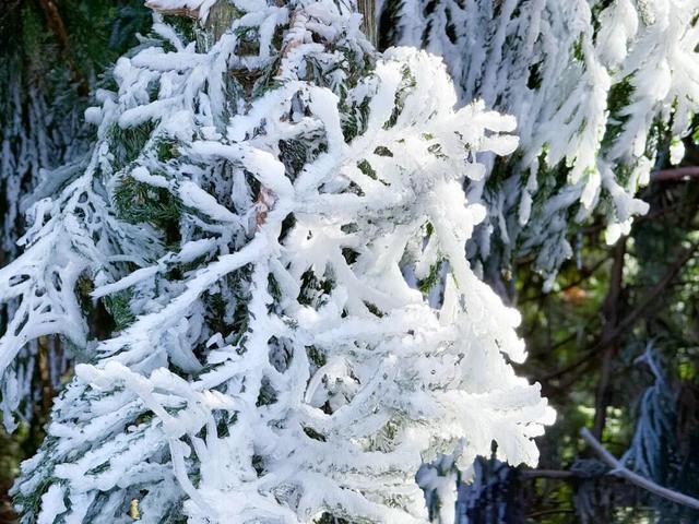 明月山惊现冰瀑雾凇，已经开始期待下雪了！