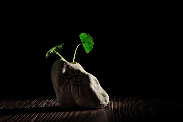 提升自己的运气，狠狠记住。1、守相