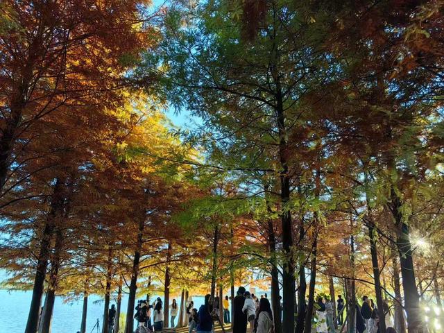 今日立冬！丽江七彩祥云“开场”，冬日还能怎么玩？