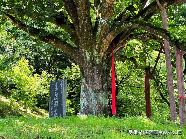 西安人的夏日消暑指南,黑河的清凉山水比空调更治愈→
