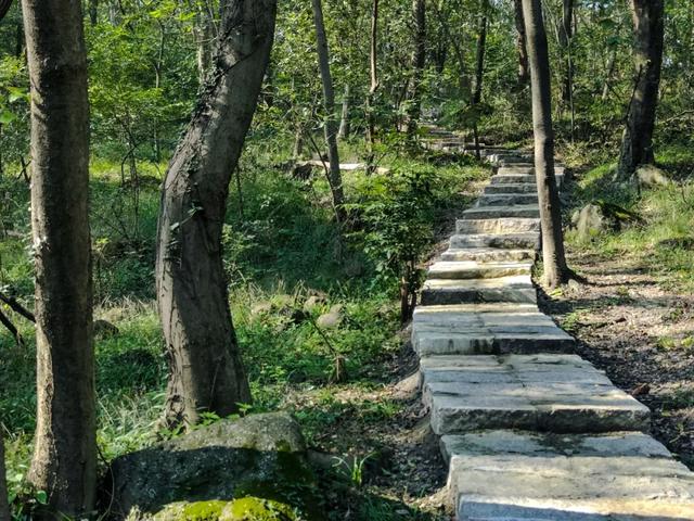 明光徒步新选择!