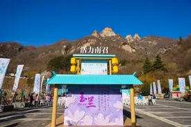 2024“春季赏花 畅游南阳”系列活动暨南召县第三届玉兰花会开幕图片