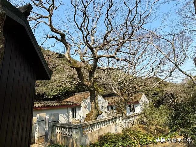 东海之滨——海天佛国普陀山