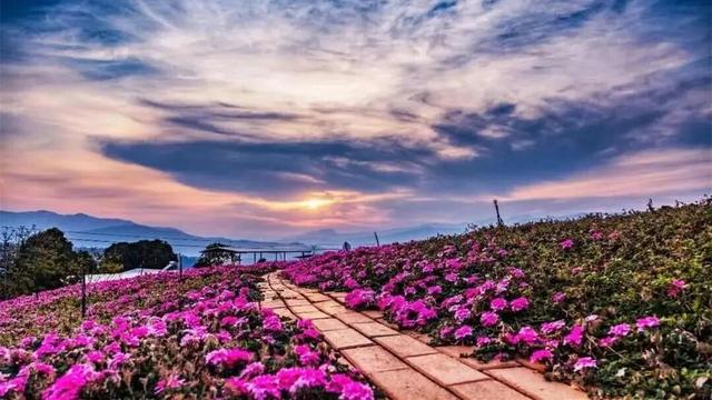 操盘手必懂｜解码景区合作运营的八大路径和十大要点