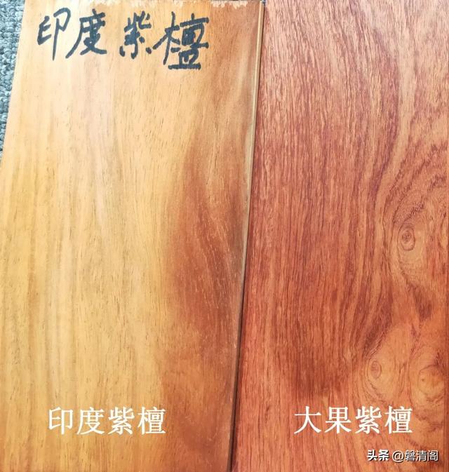 什么是花梨？花梨木的概念及木种简介
