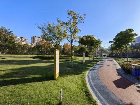 通化没想到，白山也没想到，现在的沈阳，怎么突然这么火了！