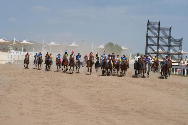 达茂旗这场活动不一般，一天之内八上央视！