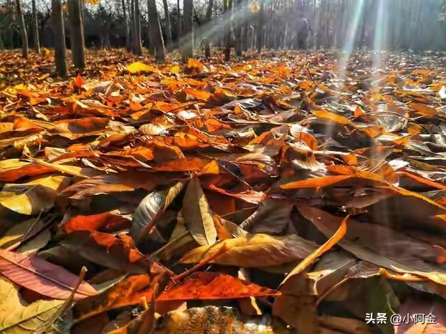 别只知哈密瓜！哈密这四大奇景惊艳众生