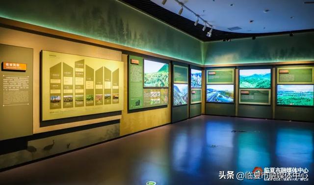 遇见•临夏丨金秋看展 与临夏文博来一场跨越时空的“对视”