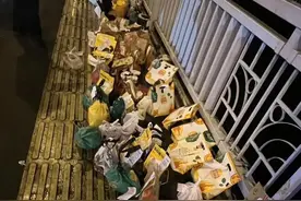 21岁重庆男子胖猫跳江事件全部后续完结，兄弟走好图片