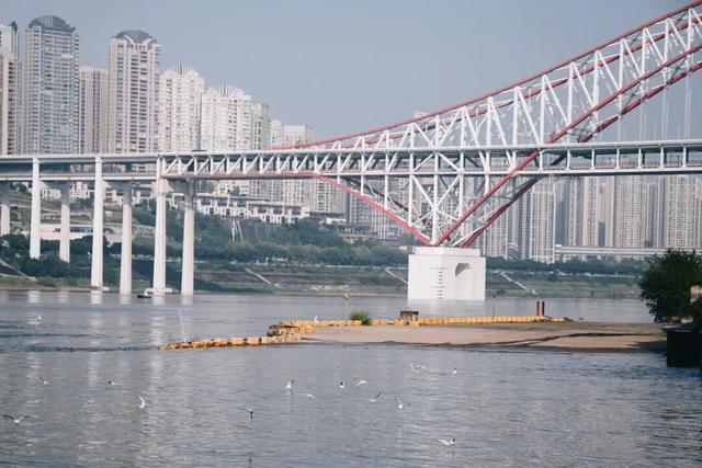 鸥！来了！“鸥”遇点位请收藏→🤳🤳🤳